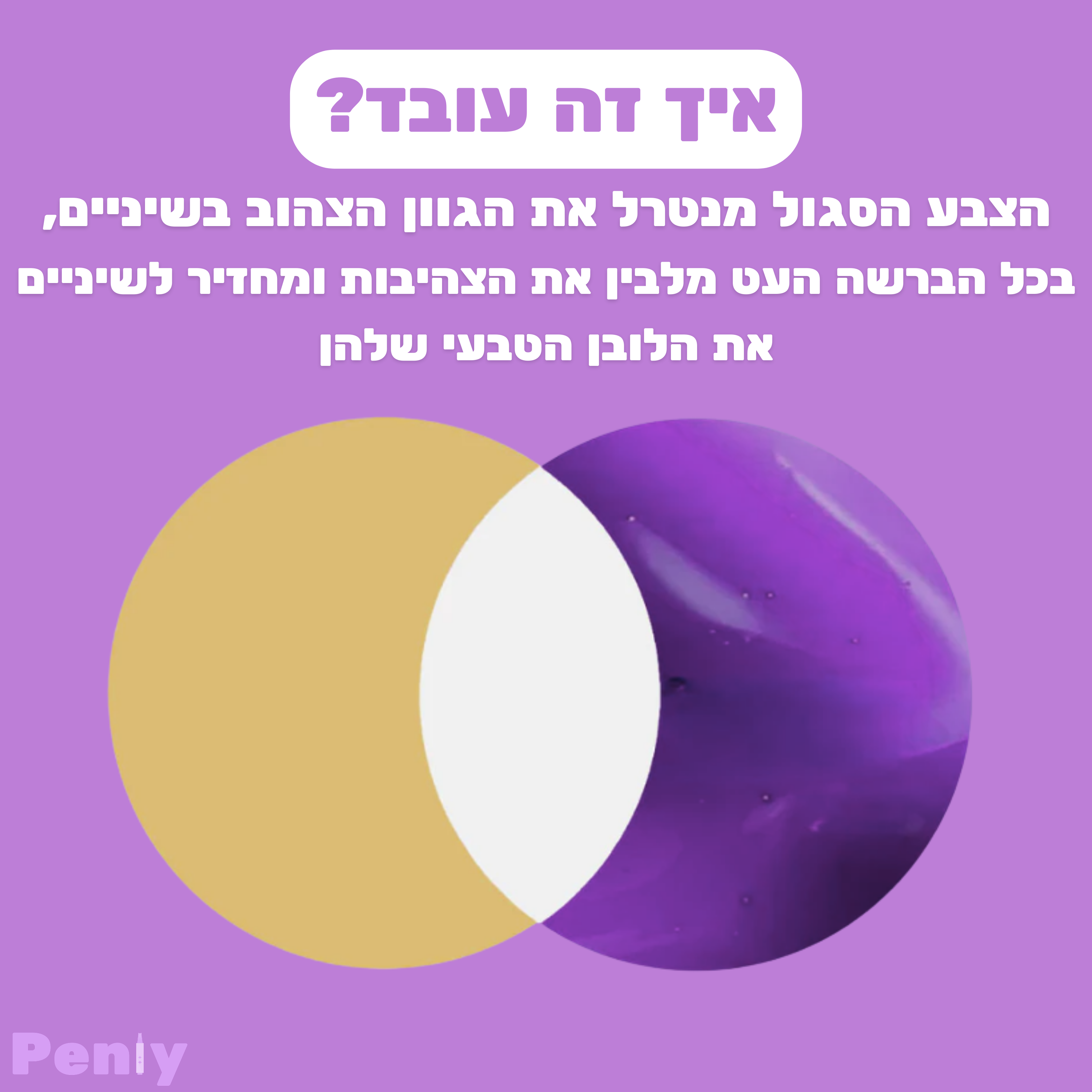 מארז ההלבנה של פנלי